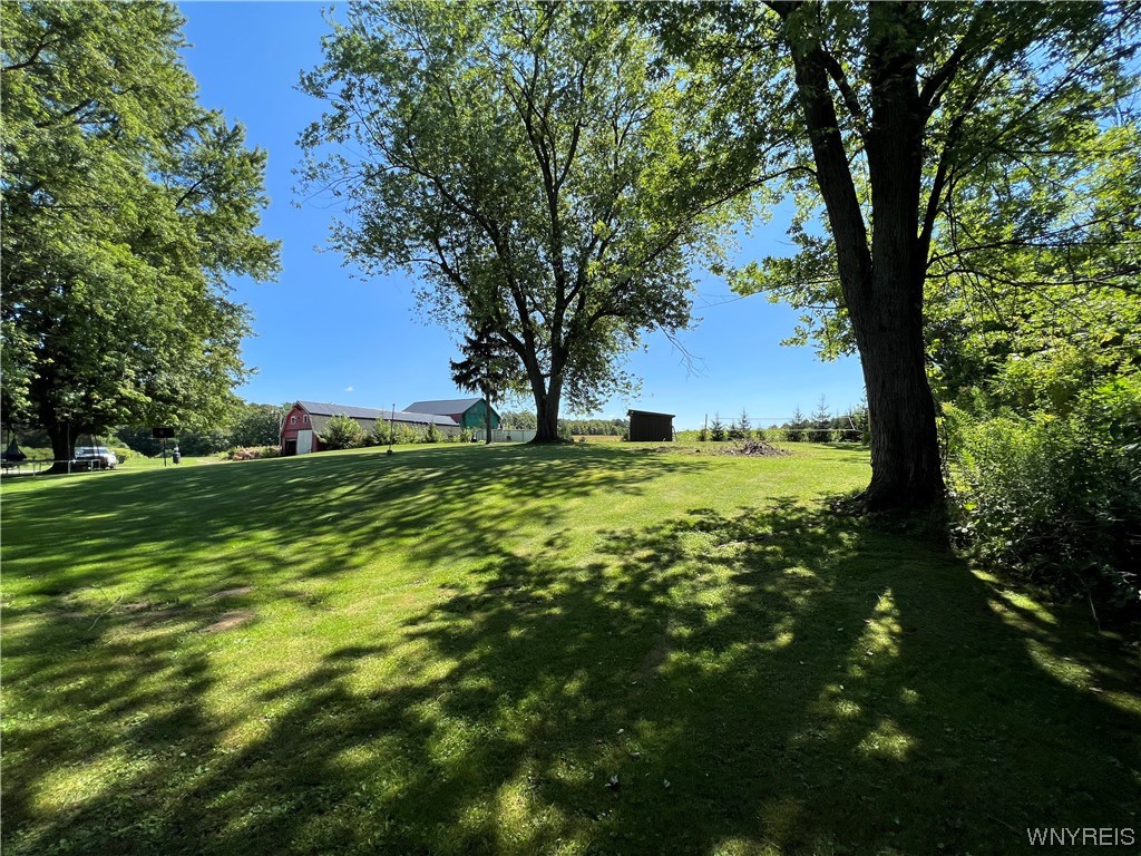 4287 North Boston Road Eden, NY 14057 - Photo 25 of 27