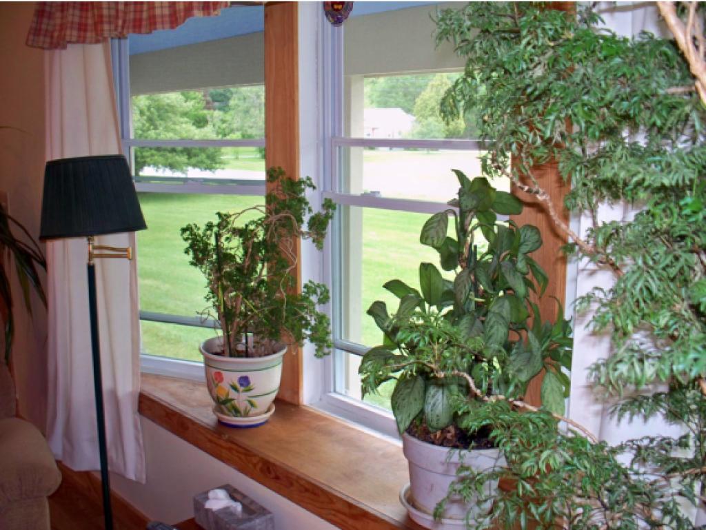 359 Plains Road Pittsford, VT 05763 - Photo 23 of 36