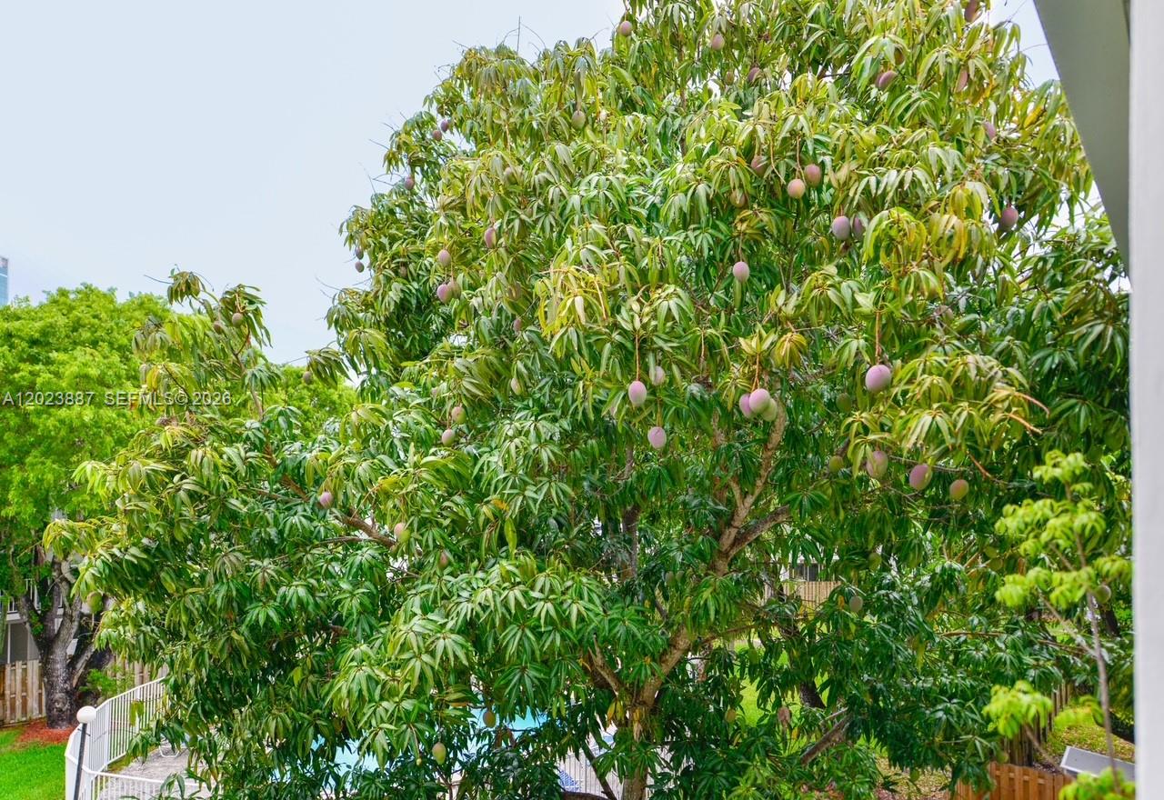 7737 Southwest 88th Street, Unit C312 Miami, FL 33156 - Photo 31 of 32 a view of a lush green forest
