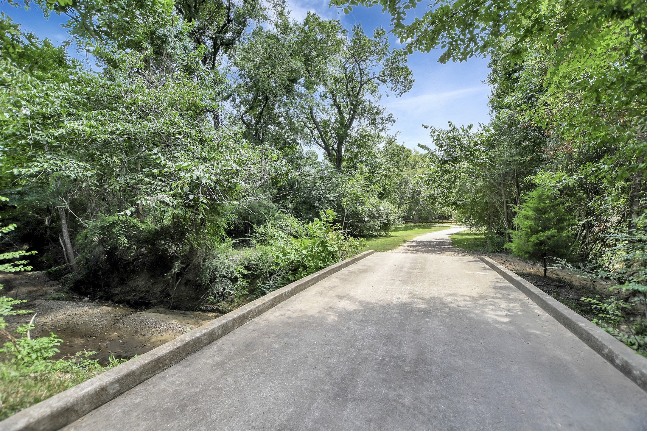 28030 Highway 6 Hempstead, TX 77445 - Photo 3 of 50 a view of a garden with plants and large trees