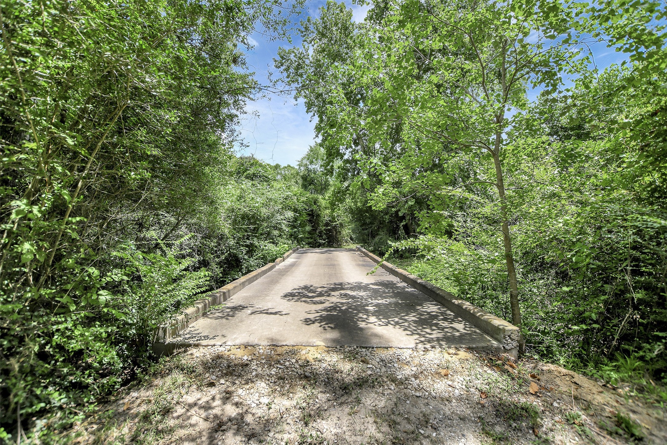 28030 Highway 6 Hempstead, TX 77445 - Photo 41 of 50 a view of a forest with a tree