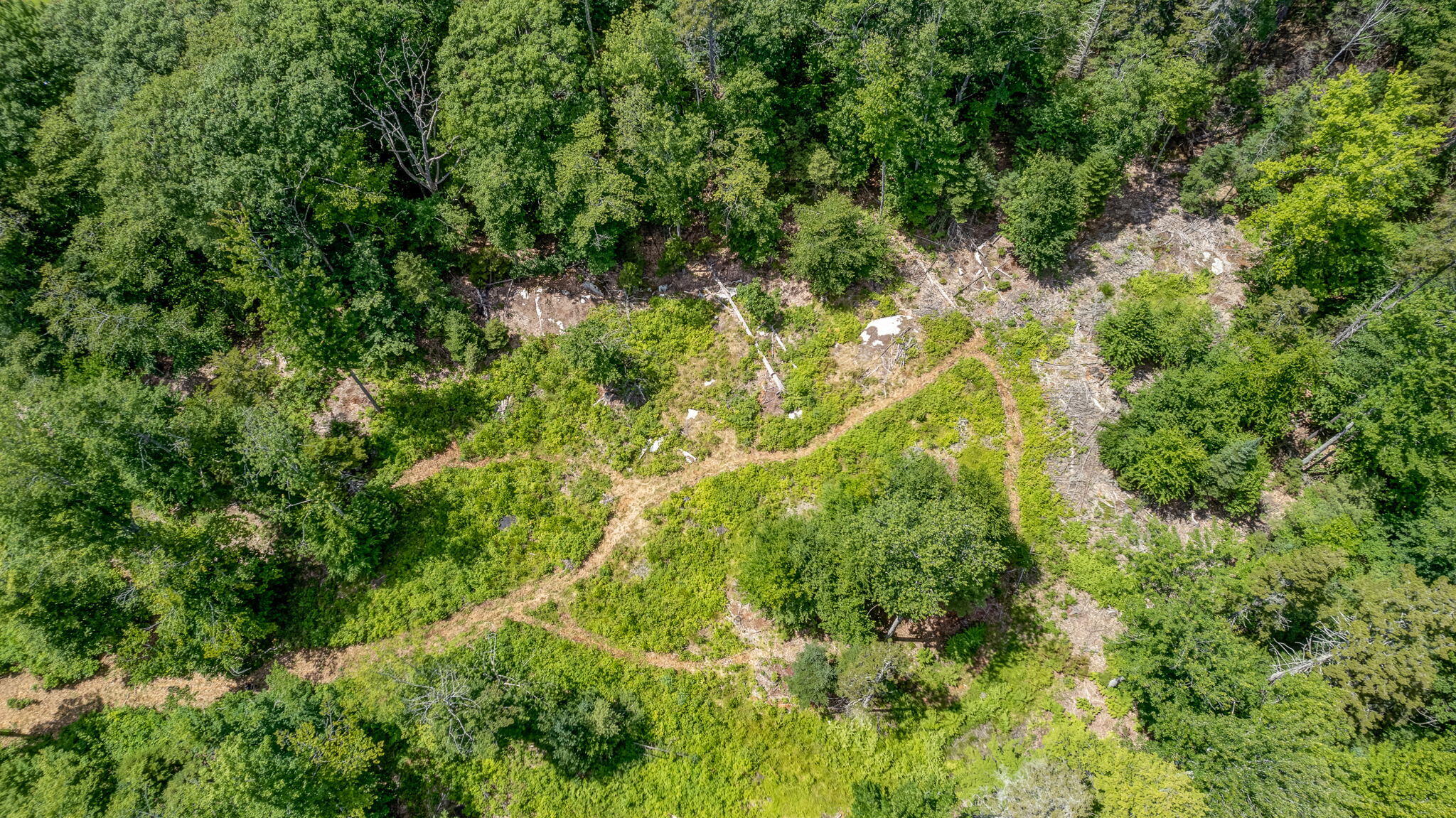 28 Hawk Hill Lane Freeport, ME 04032 - Photo 11 of 13 28Hawks-24