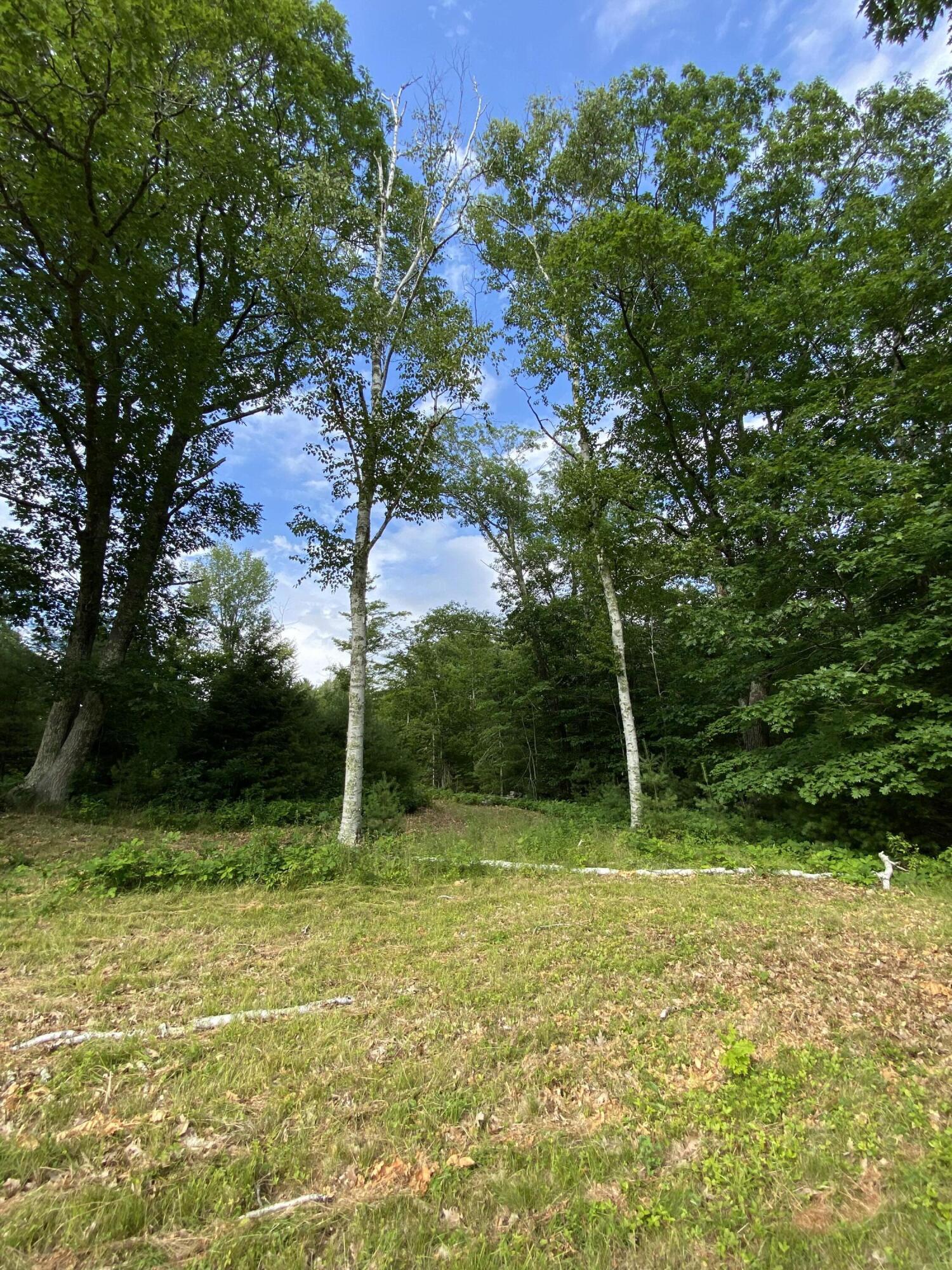 28 Hawk Hill Lane Freeport, ME 04032 - Photo 3 of 13 IMG-1943