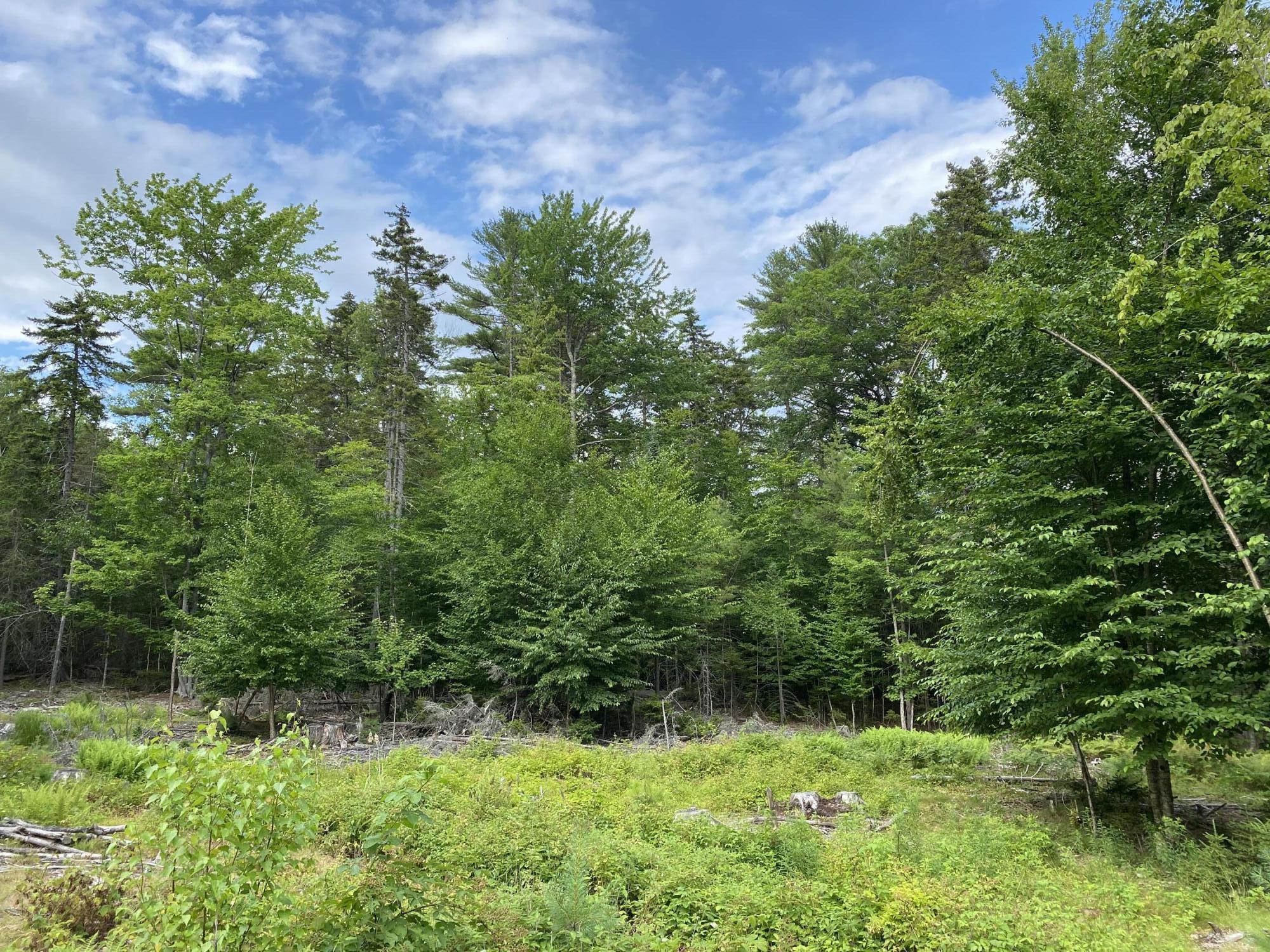 28 Hawk Hill Lane Freeport, ME 04032 - Photo 4 of 13 IMG-1949