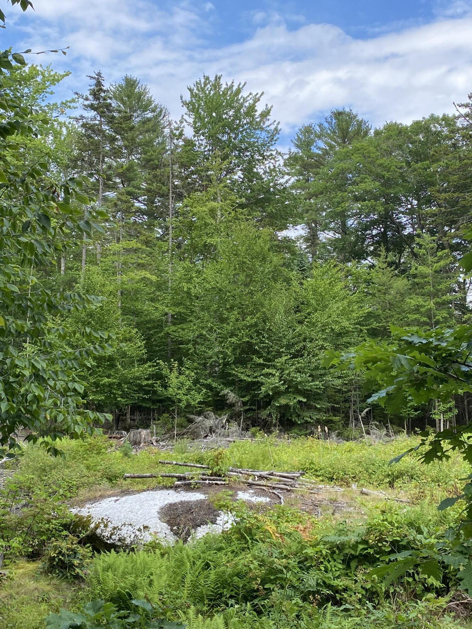 28 Hawk Hill Lane Freeport, ME 04032 - Photo 5 of 13 IMG-1950