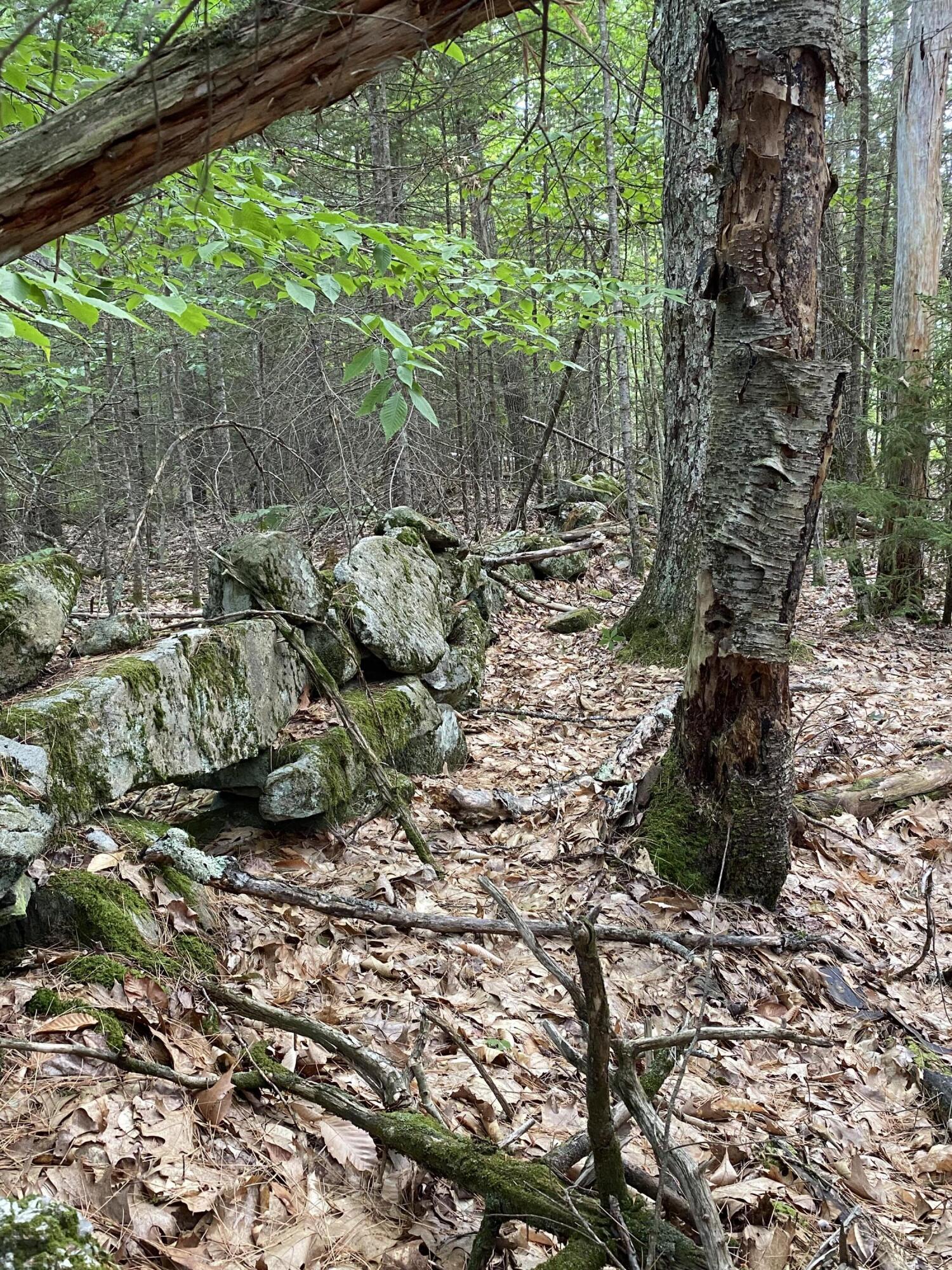 28 Hawk Hill Lane Freeport, ME 04032 - Photo 6 of 13 IMG-1953