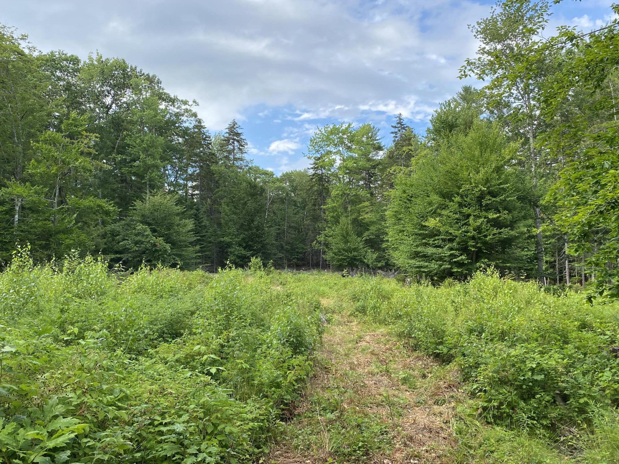 28 Hawk Hill Lane Freeport, ME 04032 - Photo 8 of 13 IMG-1945