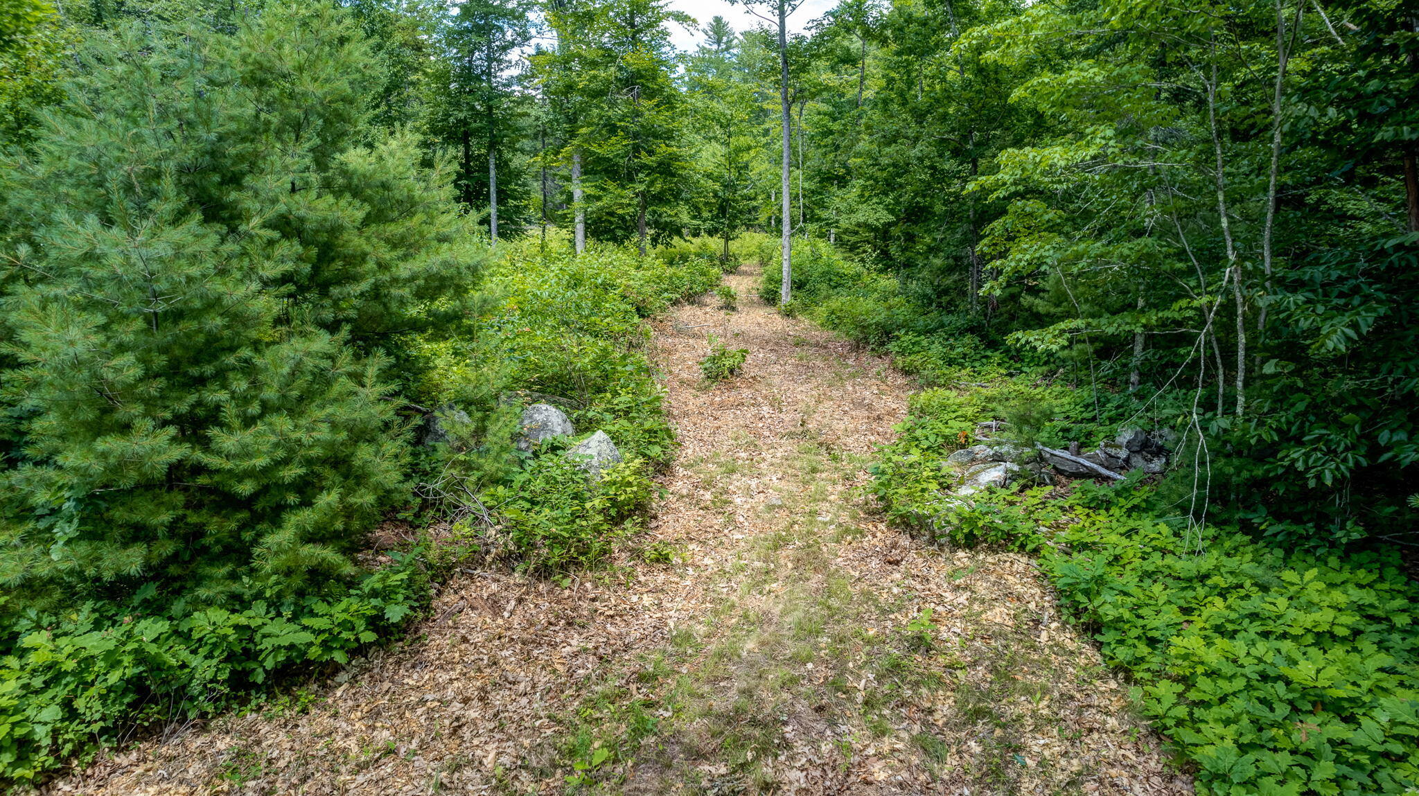 28 Hawk Hill Lane Freeport, ME 04032 - Photo 9 of 13 28Hawks-19