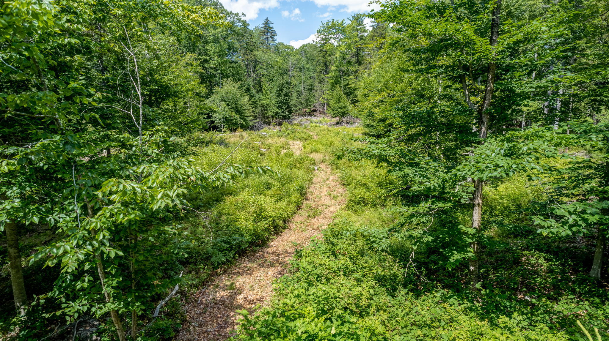 28 Hawk Hill Lane Freeport, ME 04032 - Photo 10 of 13 28Hawks-21