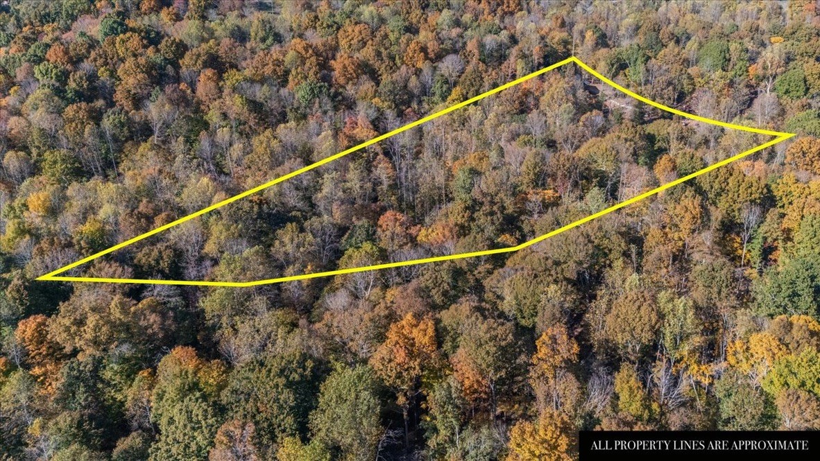 854 Little Leatherwood Road Vanleer, TN 37181 - Photo 35 of 36