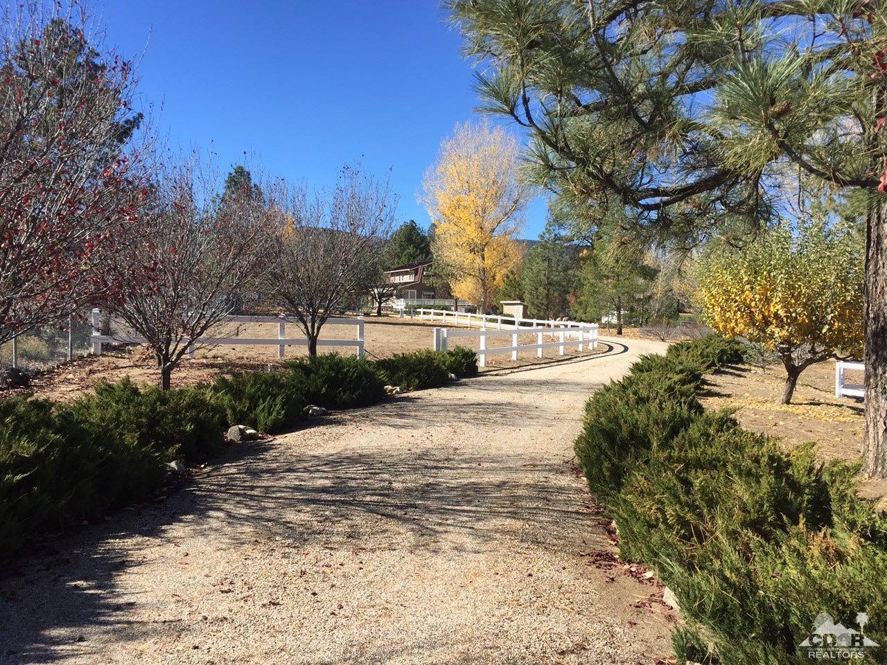 60189 Devils Ladder Road Mountain Center, CA 92561 - Photo 1 of 25 a view of a yard with trees