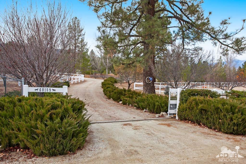 60189 Devils Ladder Road Mountain Center, CA 92561 - Photo 16 of 25 a view of a garden with a houses