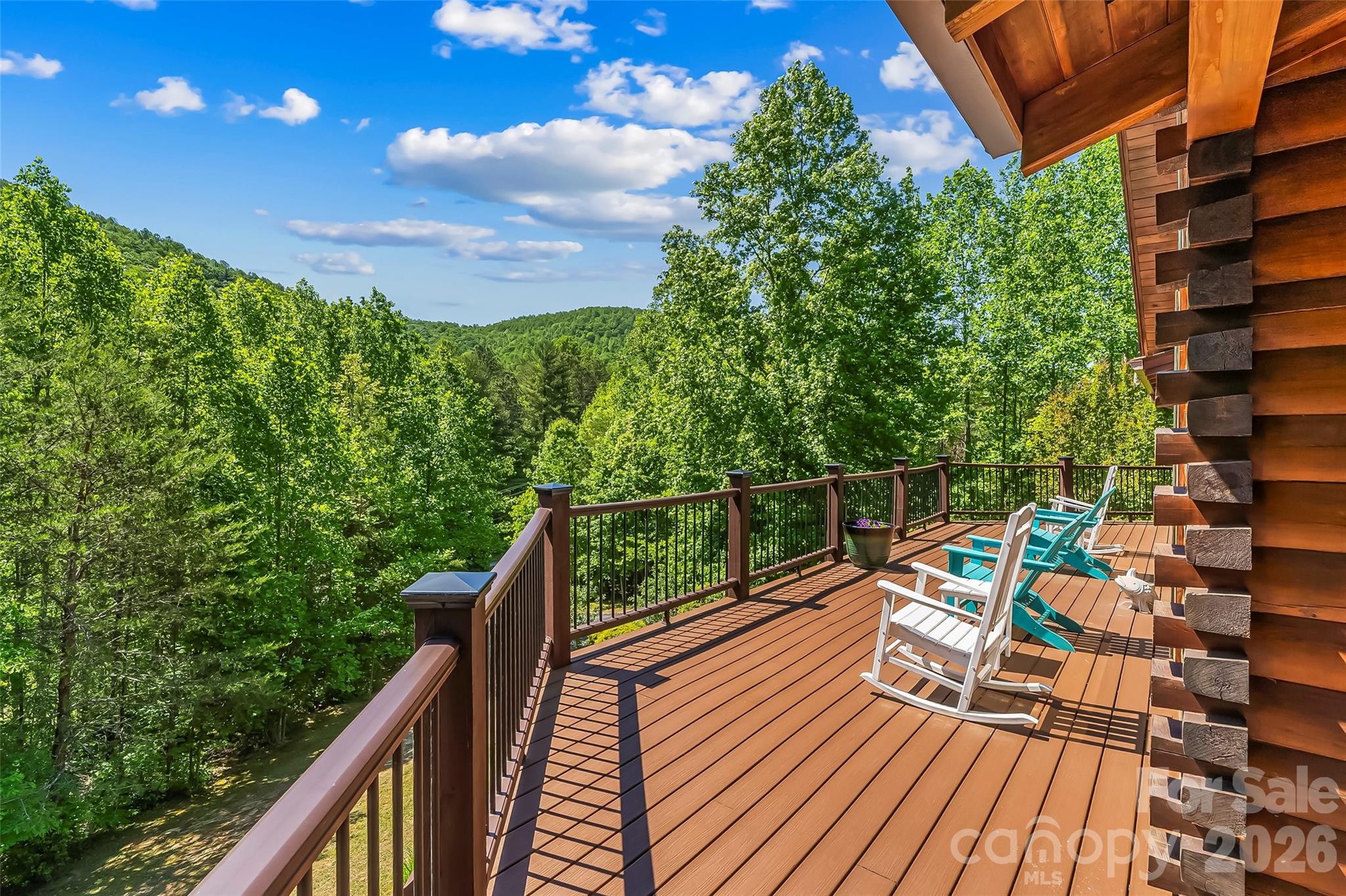 482 Gap Creek Road Zirconia, NC 28790 - Photo 3 of 48