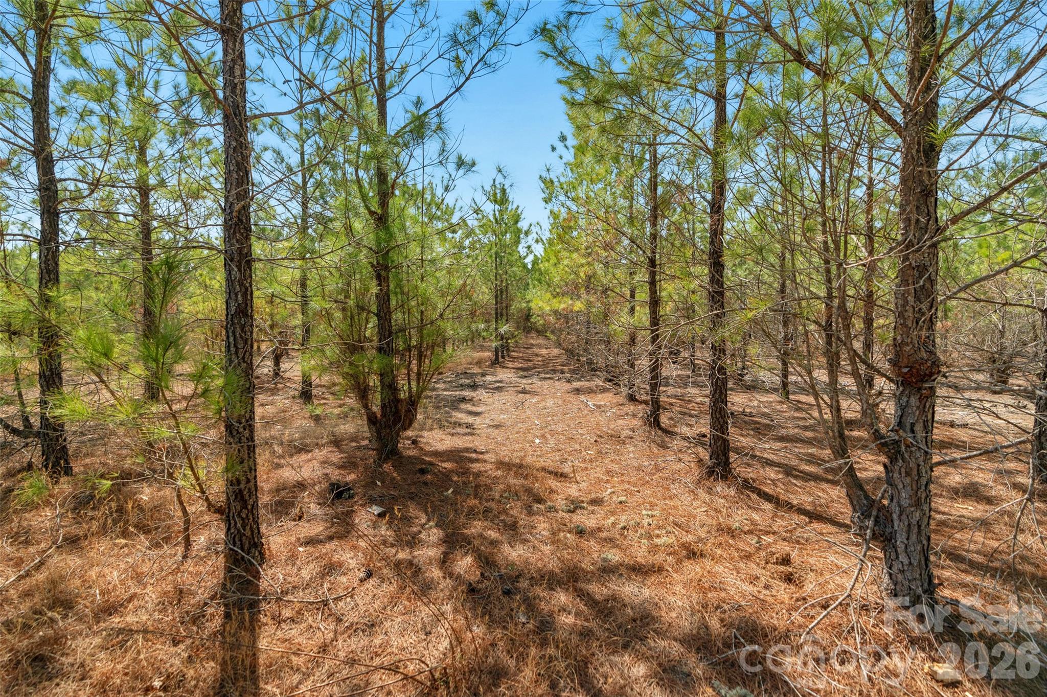 931 Charlie Johnson Road, Unit 2 Kershaw, SC 29067 - Photo 12 of 35