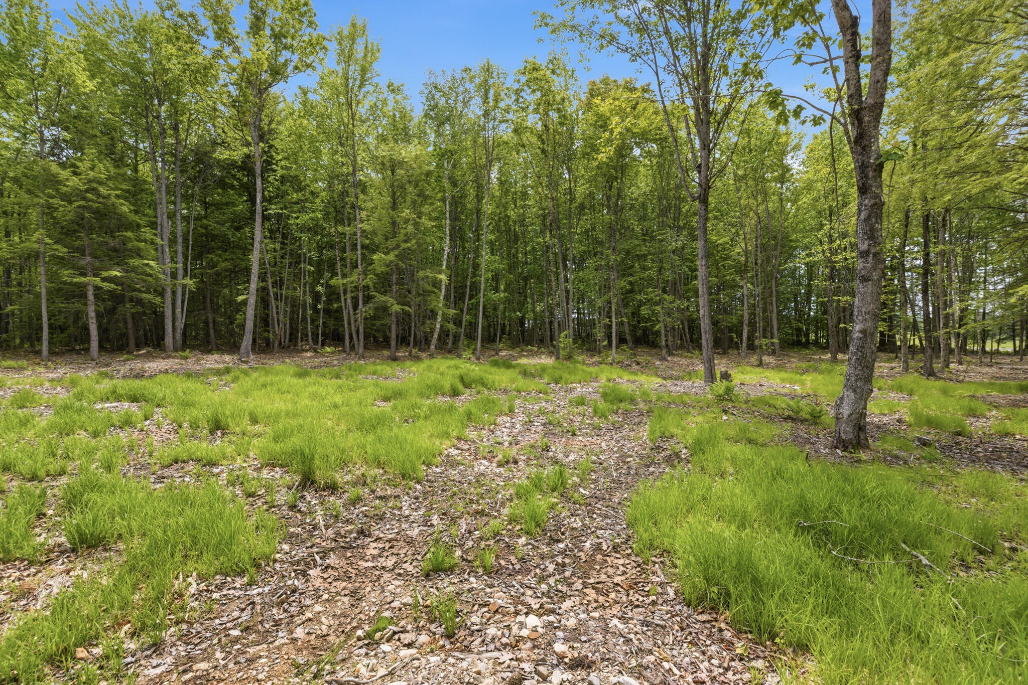 0 Buzzell Road Acton, ME 04001 - Photo 11 of 17 23