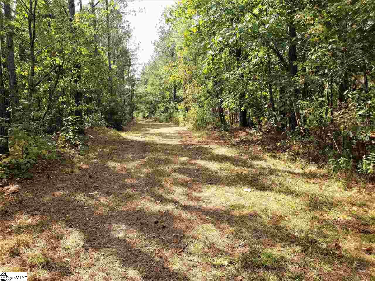 889 Dunklin Bridge Road Fountain Inn, SC 29644 - Photo 3 of 12