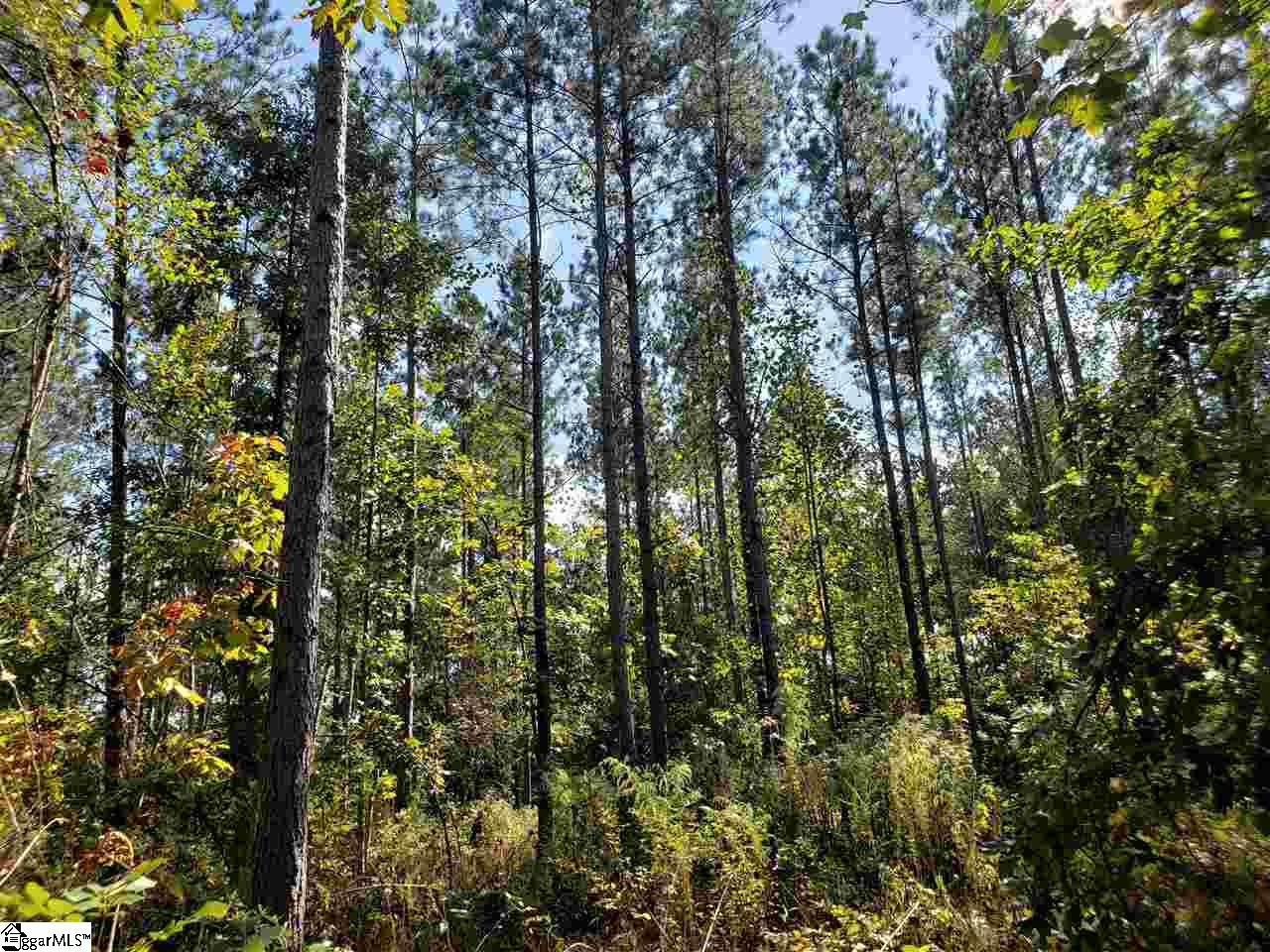 889 Dunklin Bridge Road Fountain Inn, SC 29644 - Photo 4 of 12
