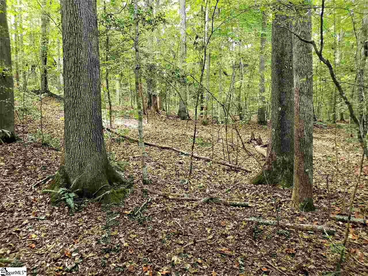 889 Dunklin Bridge Road Fountain Inn, SC 29644 - Photo 8 of 12