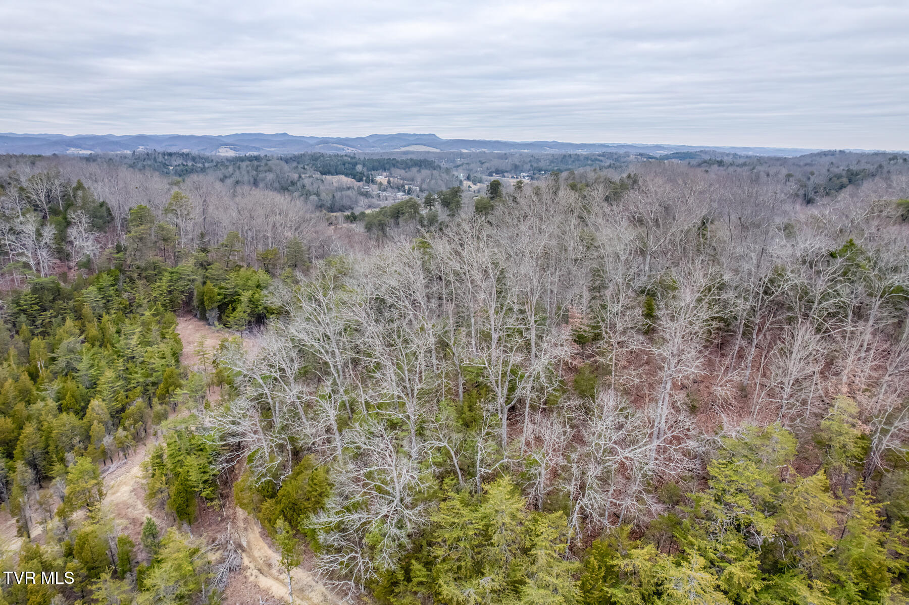195 North Fork Branch Road Rogersville, TN 37857 - Photo 28 of 36 193 N Fork Branch Rd-54