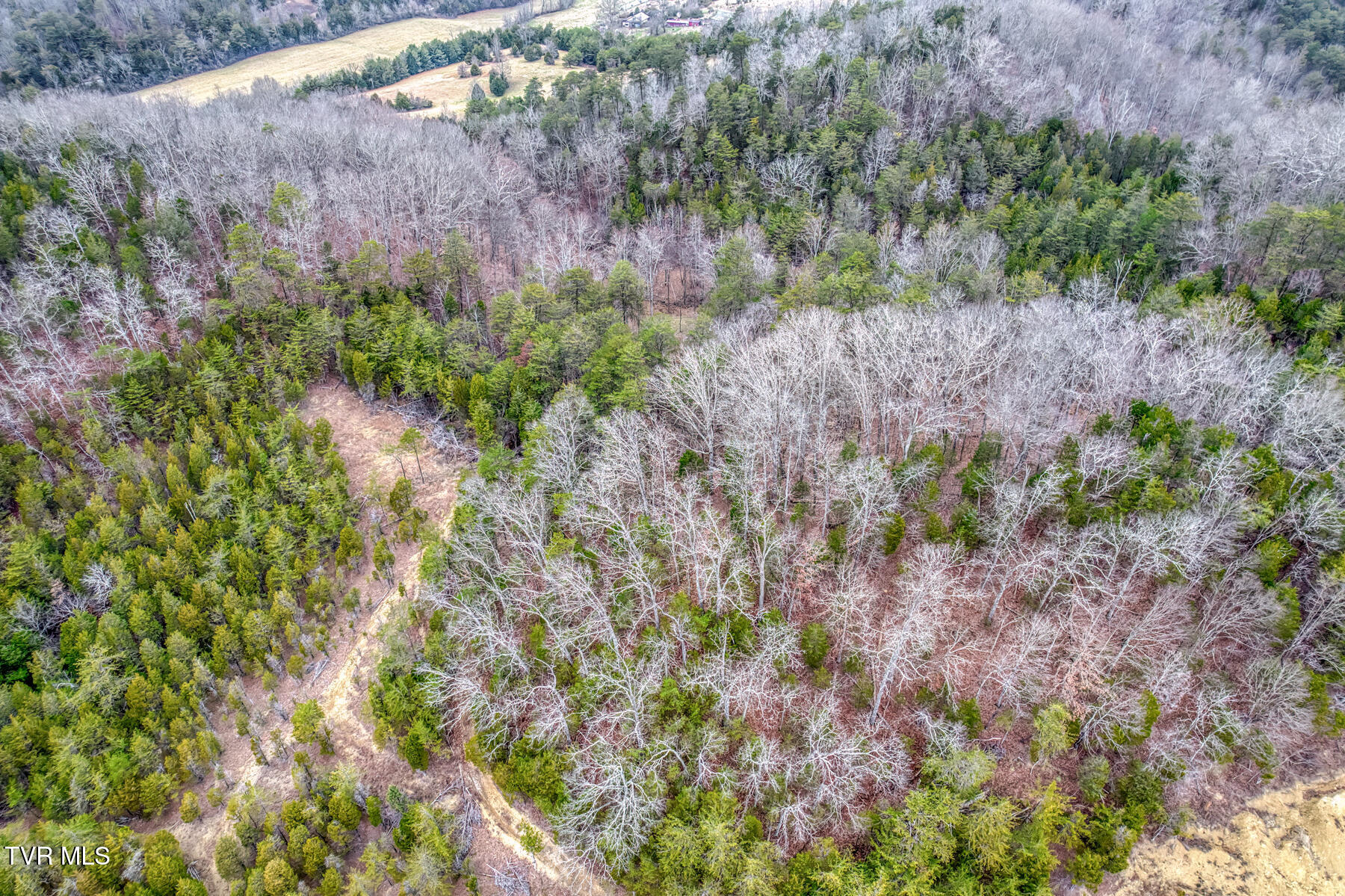 195 North Fork Branch Road Rogersville, TN 37857 - Photo 29 of 36 193 N Fork Branch Rd-55
