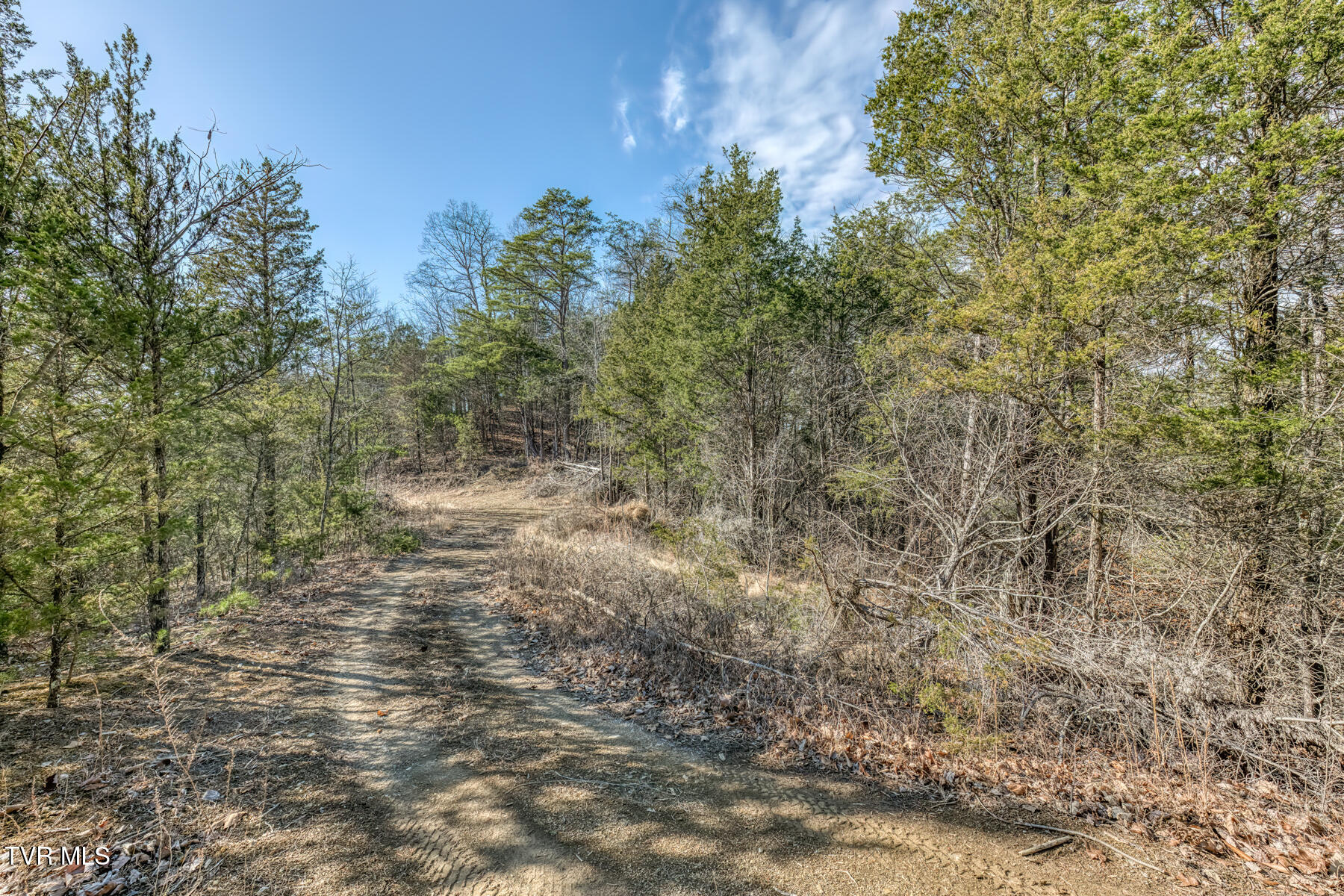 195 North Fork Branch Road Rogersville, TN 37857 - Photo 33 of 36 N Fork Branch Rd land-5