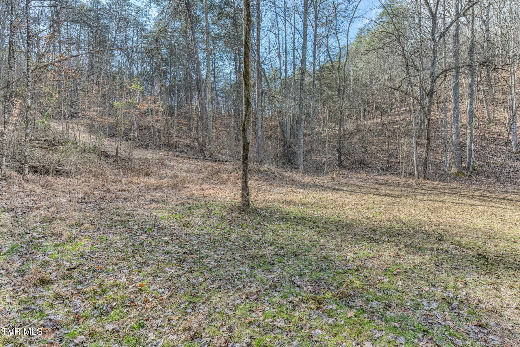 195 North Fork Branch Road Rogersville, TN 37857 - Photo 34 of 36 N Fork Branch Rd land-7