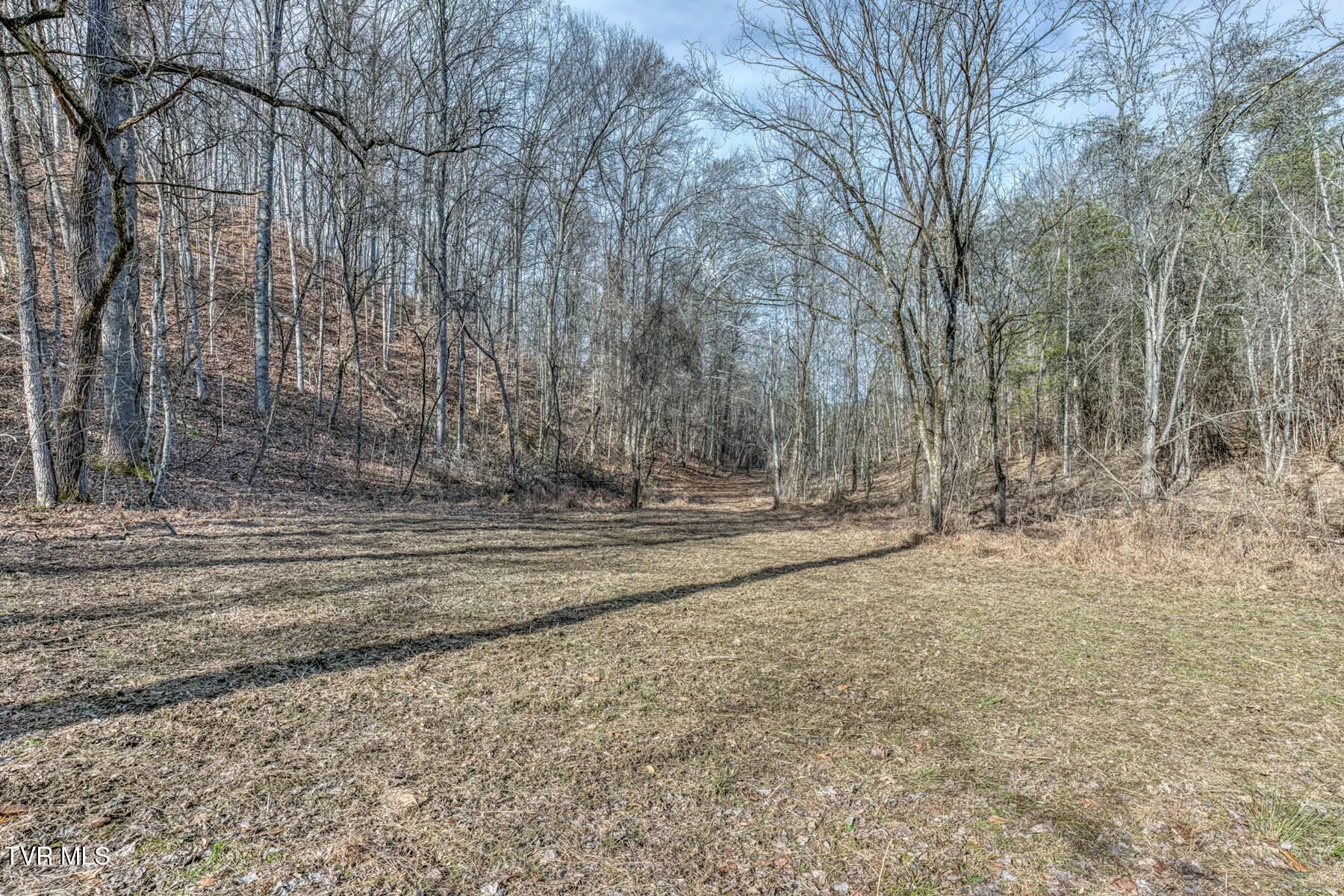 195 North Fork Branch Road Rogersville, TN 37857 - Photo 35 of 36 N Fork Branch Rd land-8