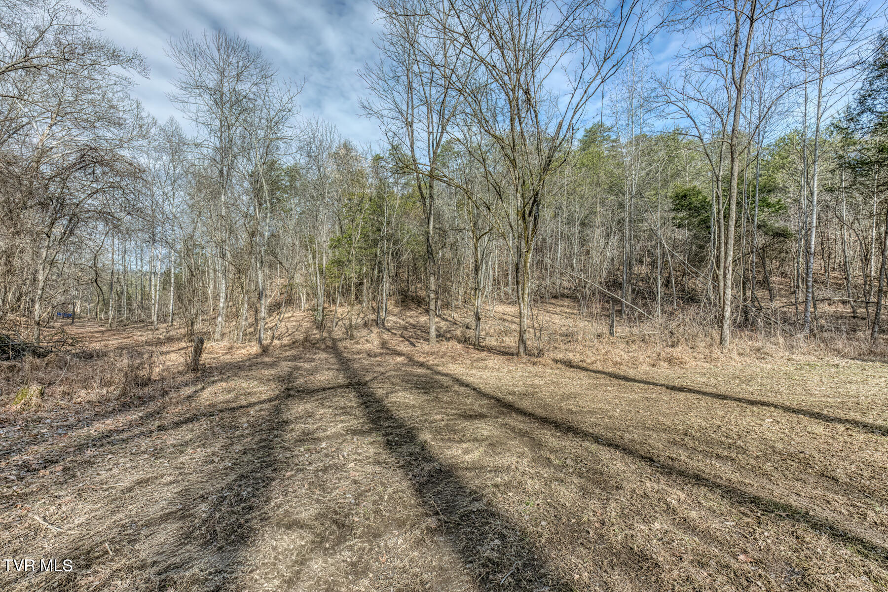 195 North Fork Branch Road Rogersville, TN 37857 - Photo 36 of 36 N Fork Branch Rd land-9