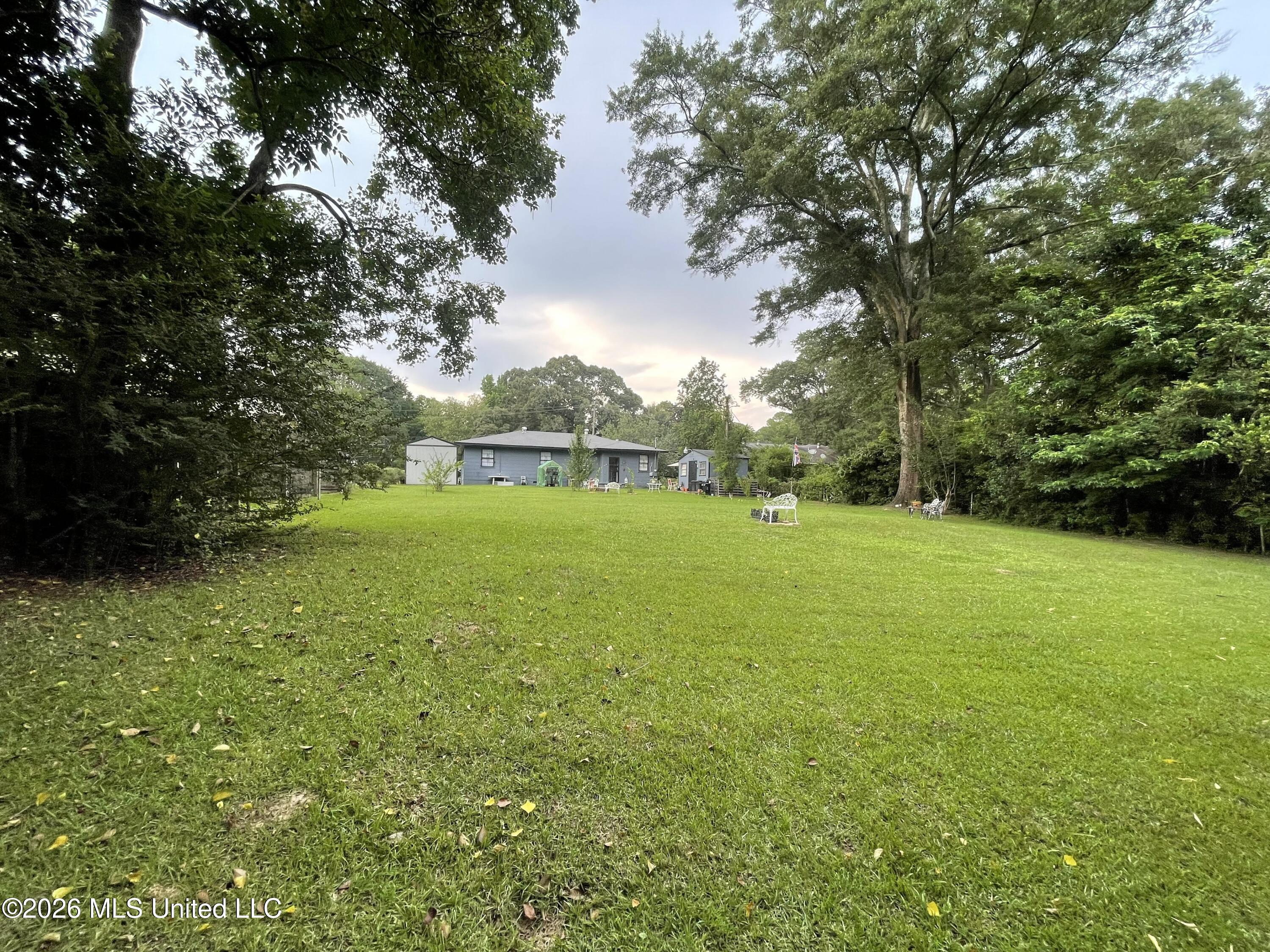 1172 West 20th Street Laurel, MS 39440 - Photo 26 of 36 view from back yard 1
