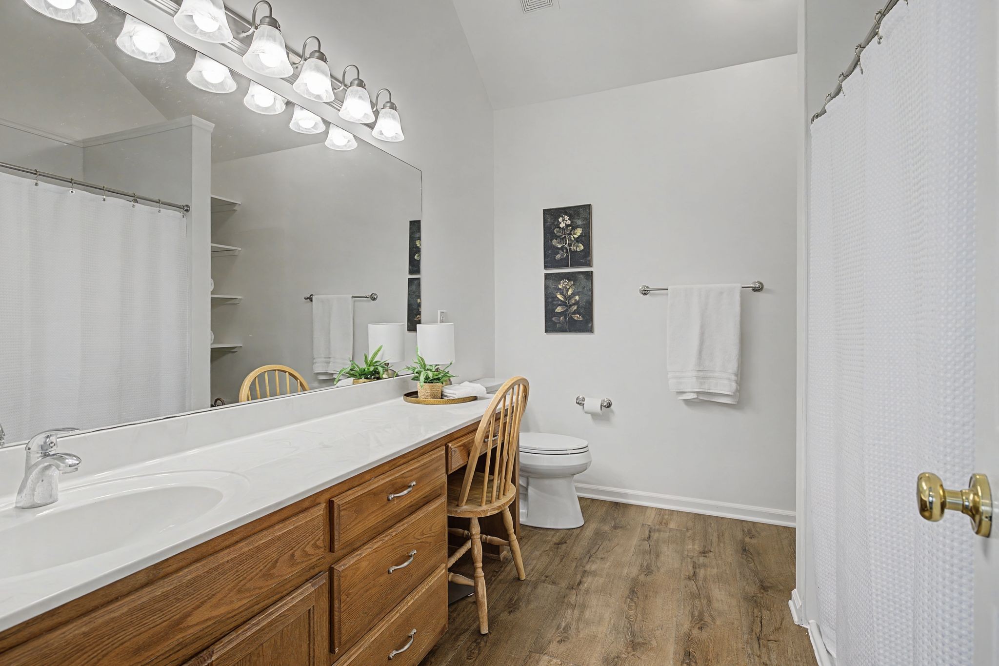 4012 Farmville Court Spring Hill, TN 37174 - Photo 21 of 29 a bathroom with a sink a toilet and a mirror