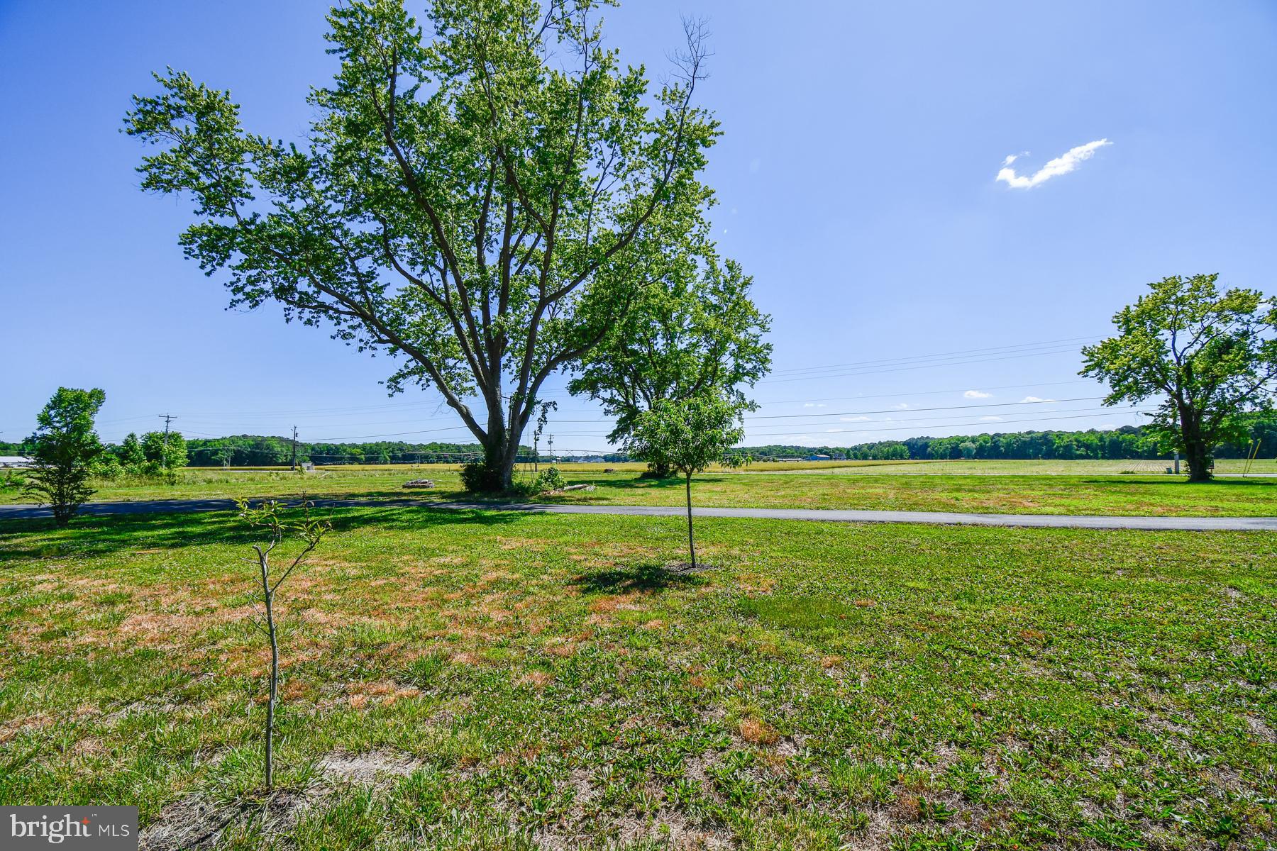 11006 Mumford Road Bishopville, MD 21813 - Photo 5 of 48