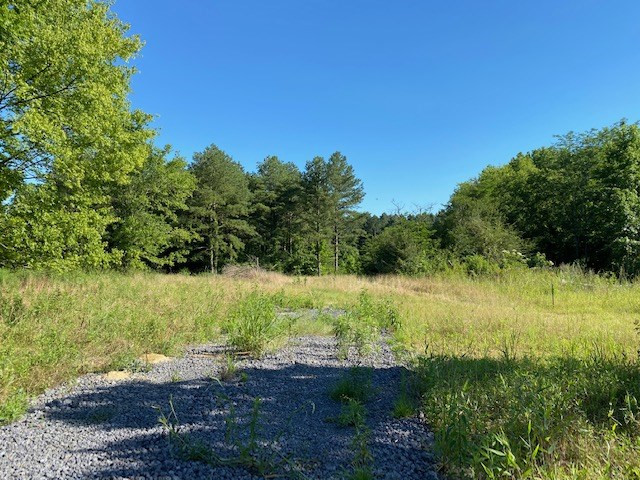 0 Spring Water Ranch Road, Unit LOT 3 Mendenhall, MS 39114 - Photo 1 of 6 Photo 1