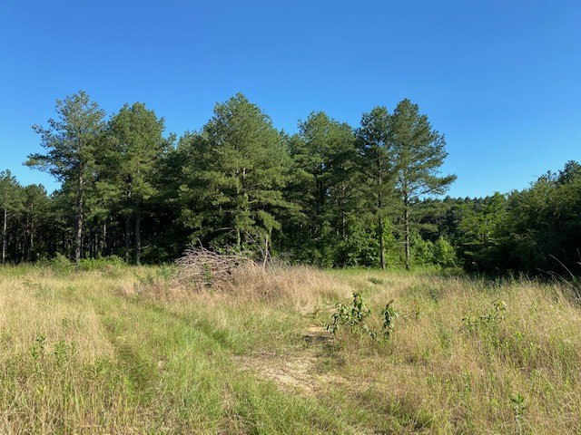 0 Spring Water Ranch Road, Unit LOT 3 Mendenhall, MS 39114 - Photo 2 of 6 Photo 2