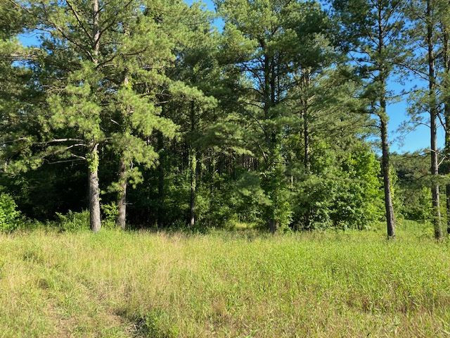 0 Spring Water Ranch Road, Unit LOT 3 Mendenhall, MS 39114 - Photo 3 of 6 Photo 3