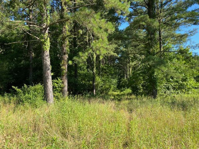 0 Spring Water Ranch Road, Unit LOT 3 Mendenhall, MS 39114 - Photo 4 of 6 Photo 4
