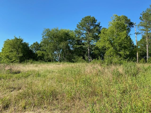 0 Spring Water Ranch Road, Unit LOT 3 Mendenhall, MS 39114 - Photo 5 of 6 Photo 5