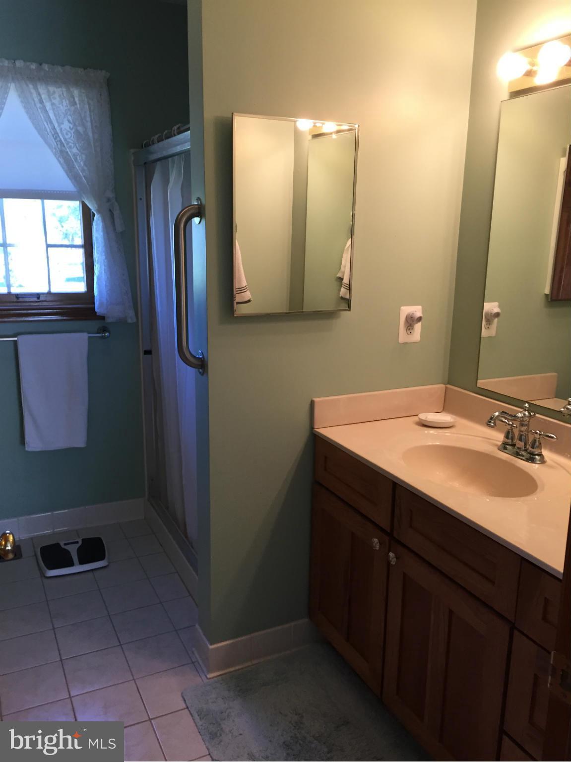 1486 Rack Point Drive Finksburg, MD 21048 - Photo 16 of 29 Bath (Master)