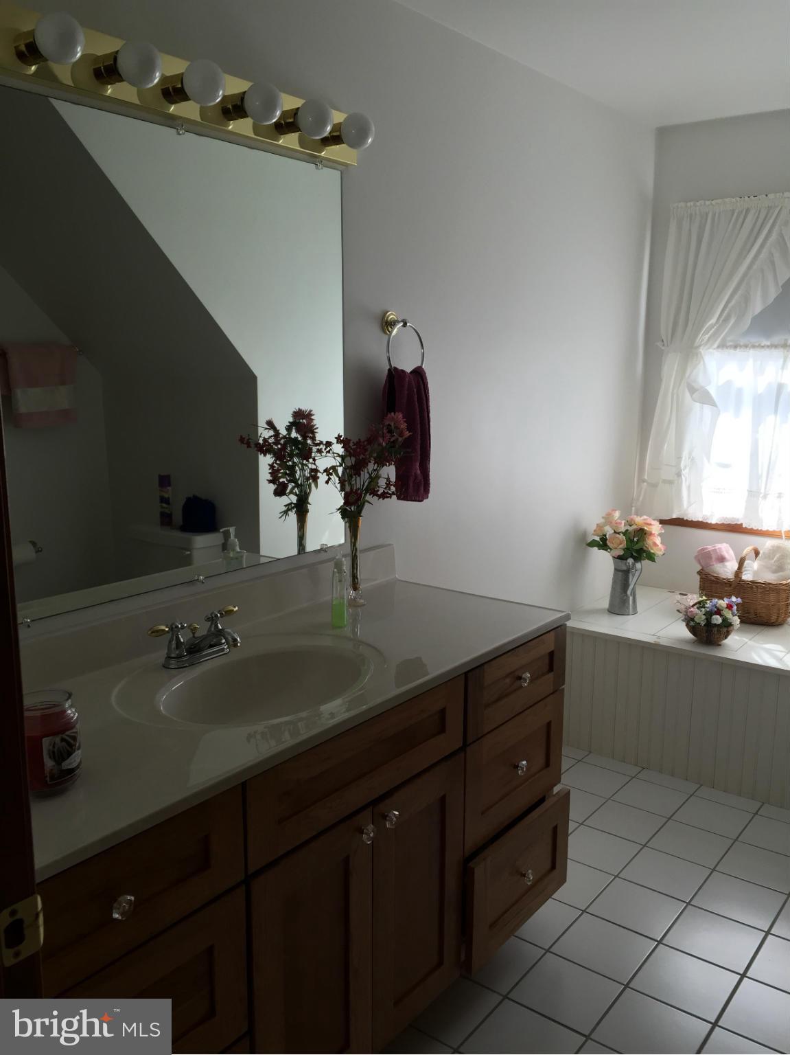 1486 Rack Point Drive Finksburg, MD 21048 - Photo 20 of 29 Bath
