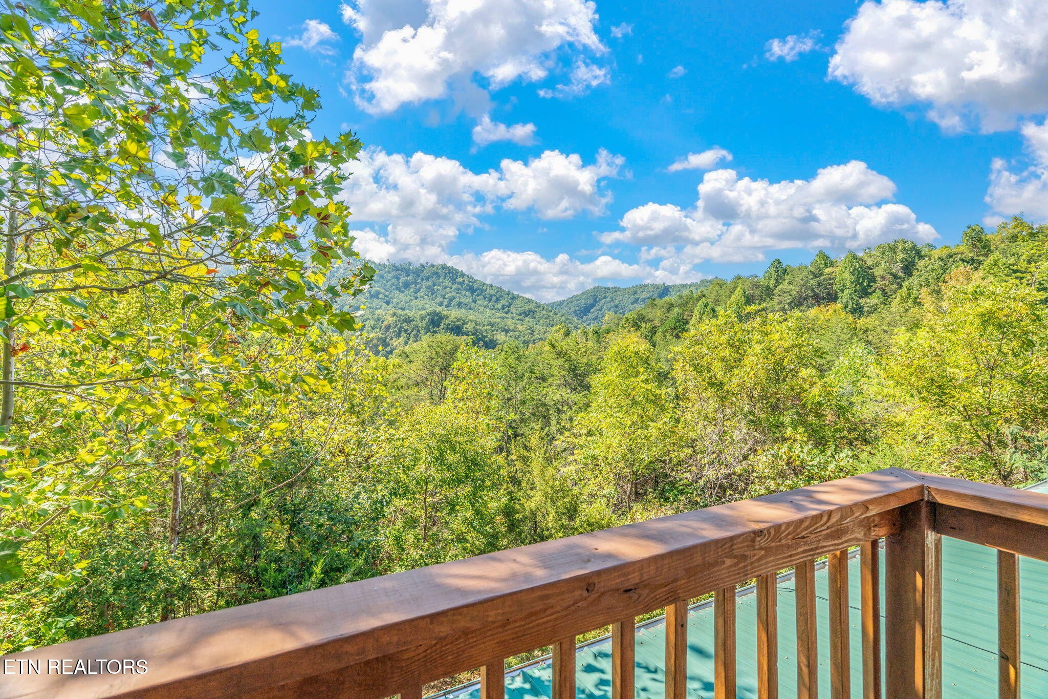 1723 Springer Road Sevierville, TN 37862 - Photo 40 of 43 a view of a yard with wooden fence