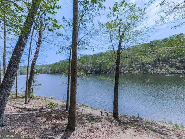 a view of a lake with a tree