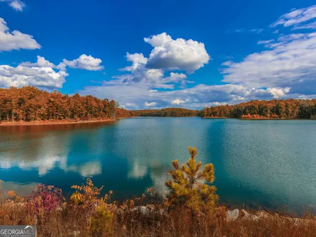a view of a lake with a city