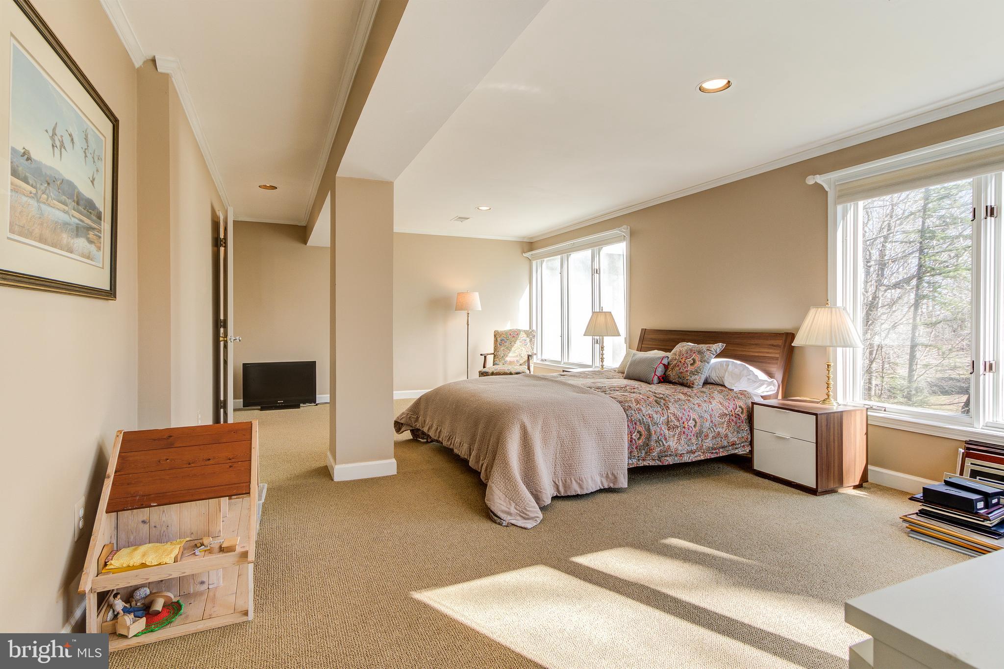 1305 Stamford Way Reston, VA 20194 - Photo 40 of 47 Lower level Bedroom