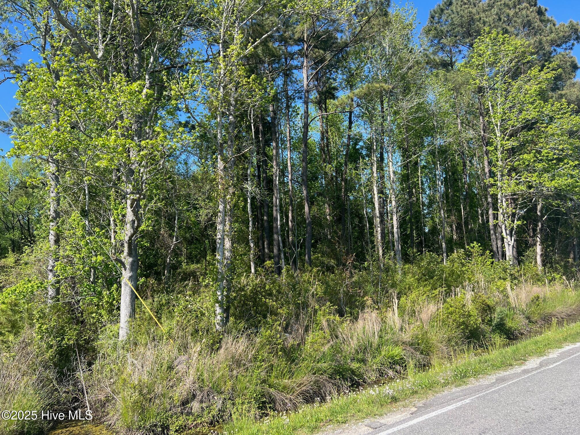 770 Laurel Road Beaufort, NC 28516 - Photo 1 of 4 770 Laurel Road