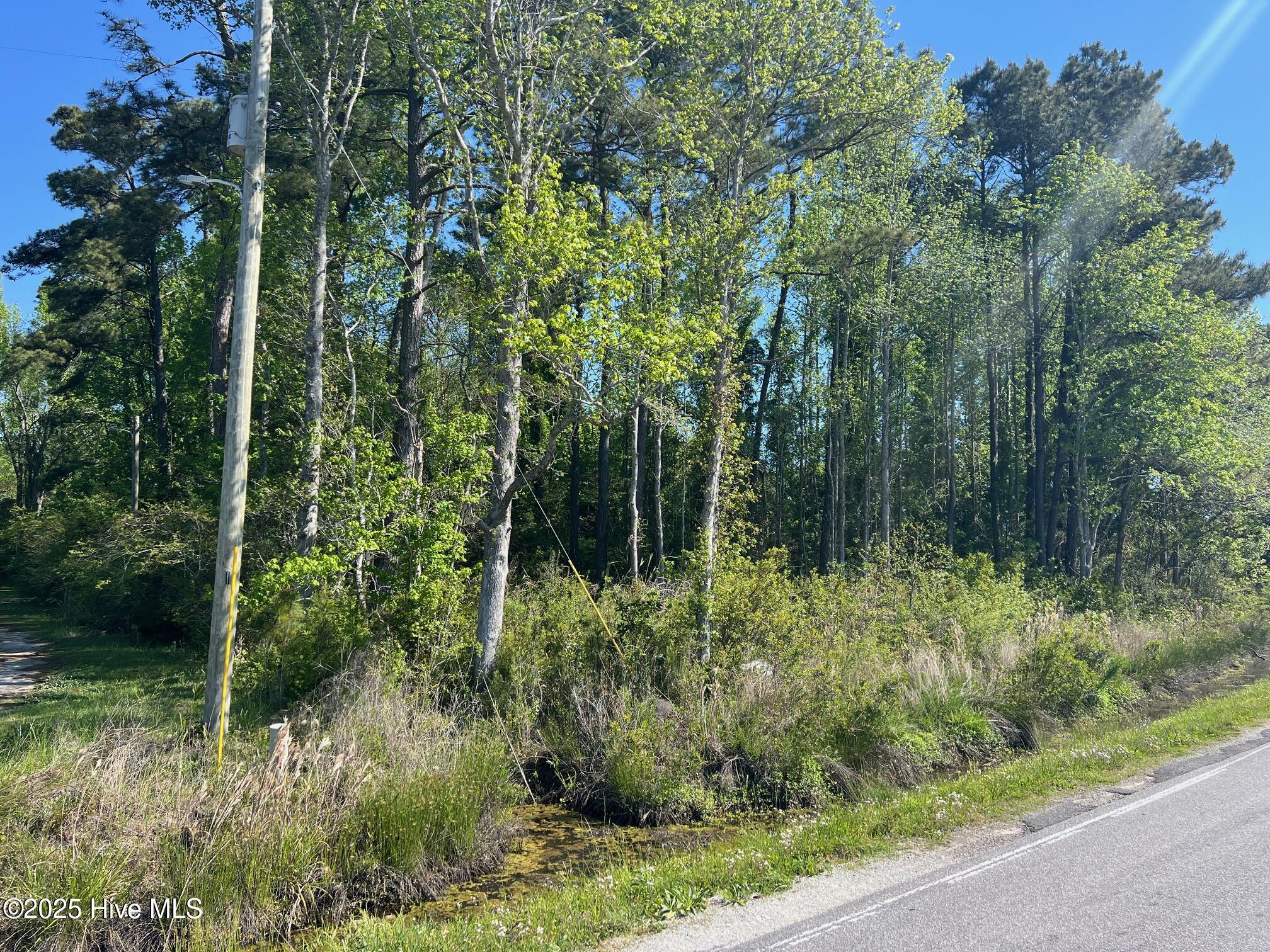 770 Laurel Road Beaufort, NC 28516 - Photo 3 of 4 IMG_3096