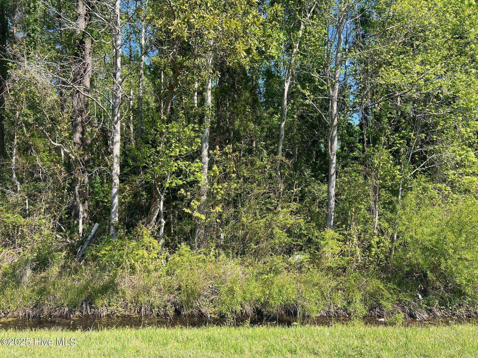 770 Laurel Road Beaufort, NC 28516 - Photo 4 of 4 IMG_3100