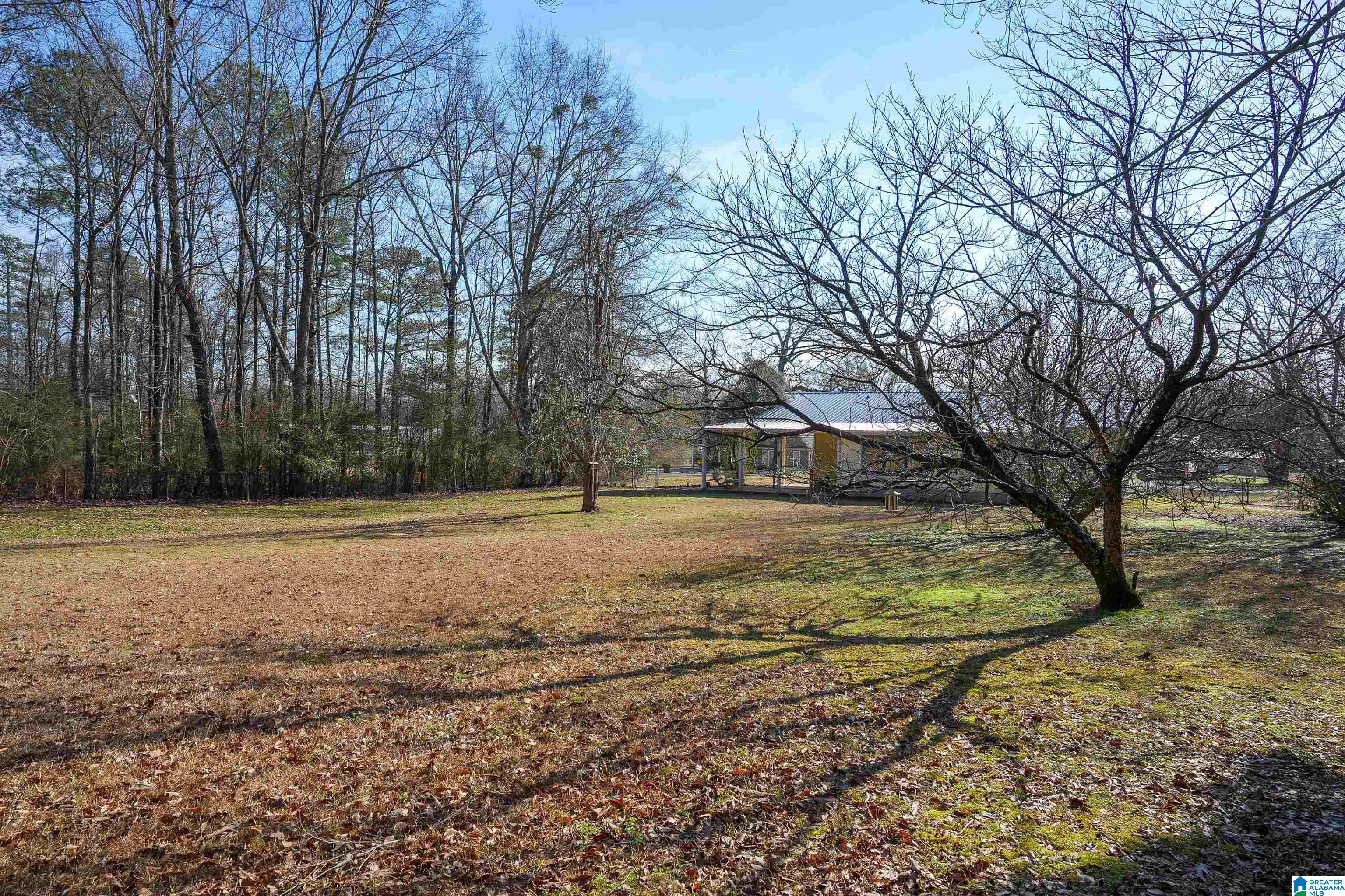 6317 Lou George Loop Bessemer, AL 35022 - Photo 38 of 42