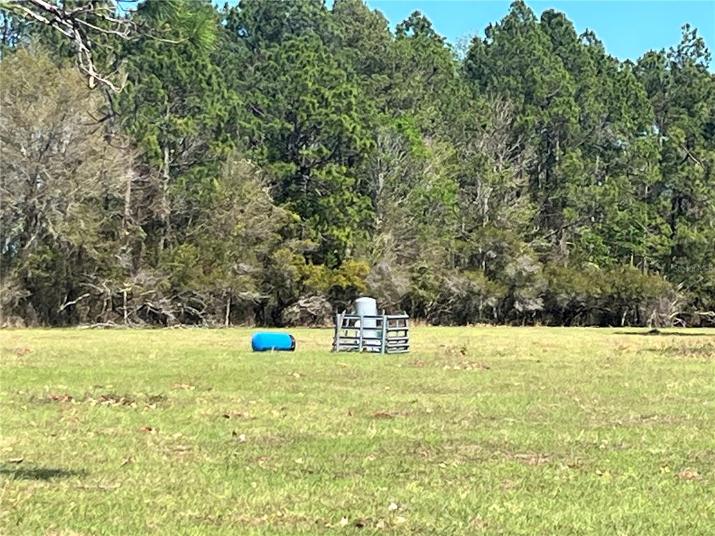 14182 Southwest 161st Street Brooker, FL 32622 - Photo 3 of 20 a view of outdoor space and yard