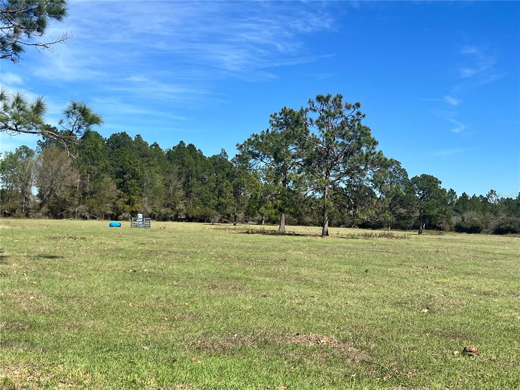 14182 Southwest 161st Street Brooker, FL 32622 - Photo 4 of 20 a view of a field with trees in the background
