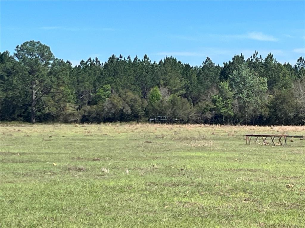 14182 Southwest 161st Street Brooker, FL 32622 - Photo 6 of 20 a view of a field of grass and trees