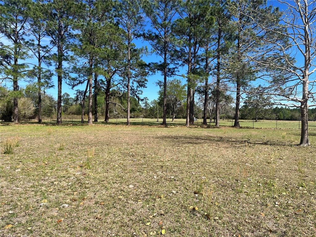 14182 Southwest 161st Street Brooker, FL 32622 - Photo 8 of 20 a backyard of apartments with large trees